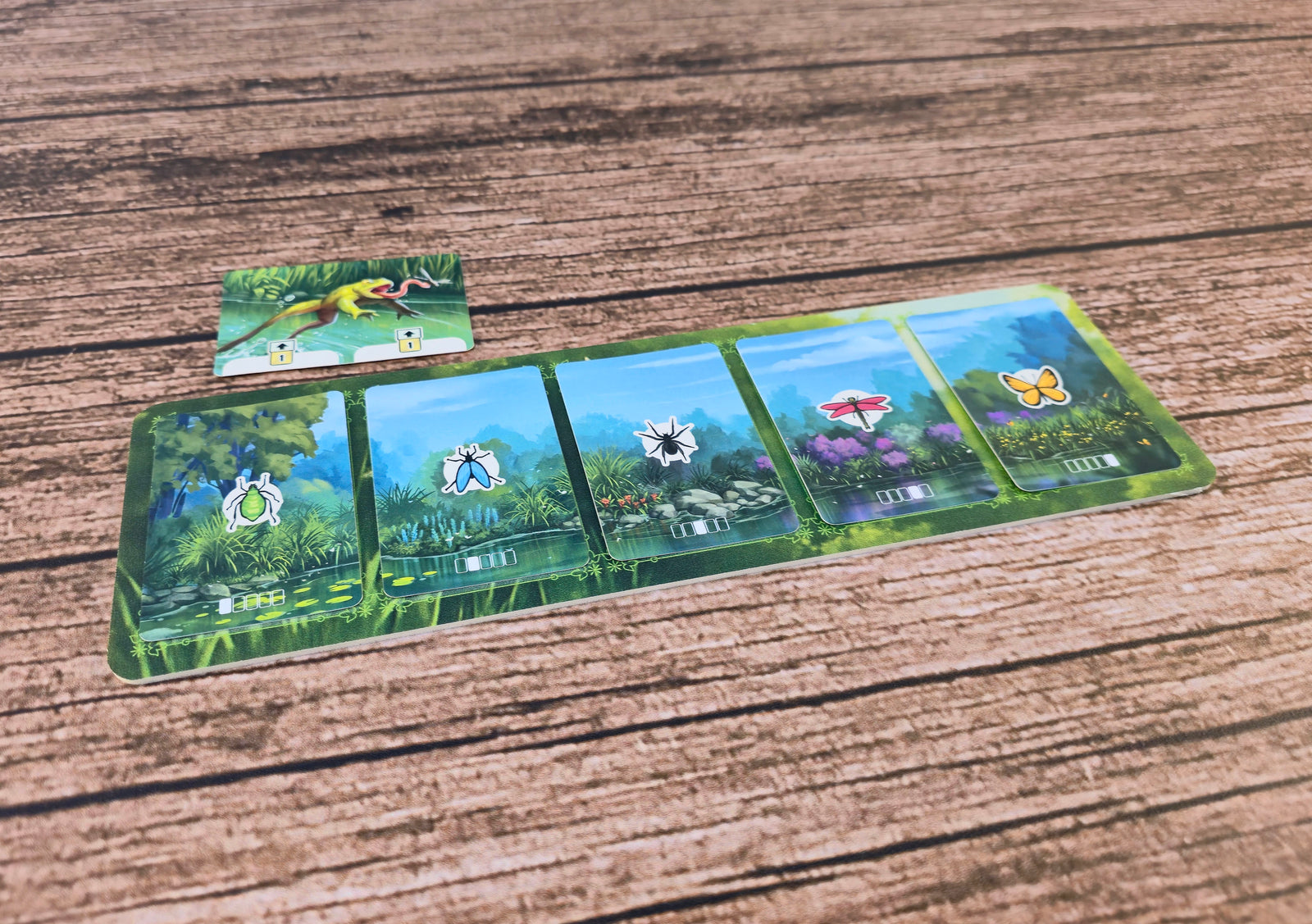 Spielmatten für Froschreich