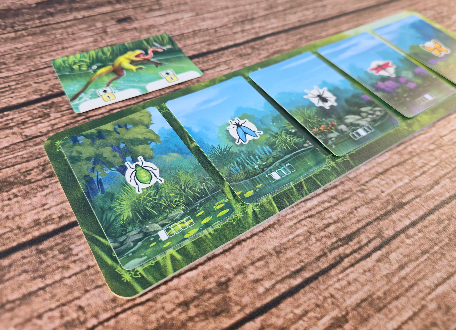 Spielmatten für Froschreich