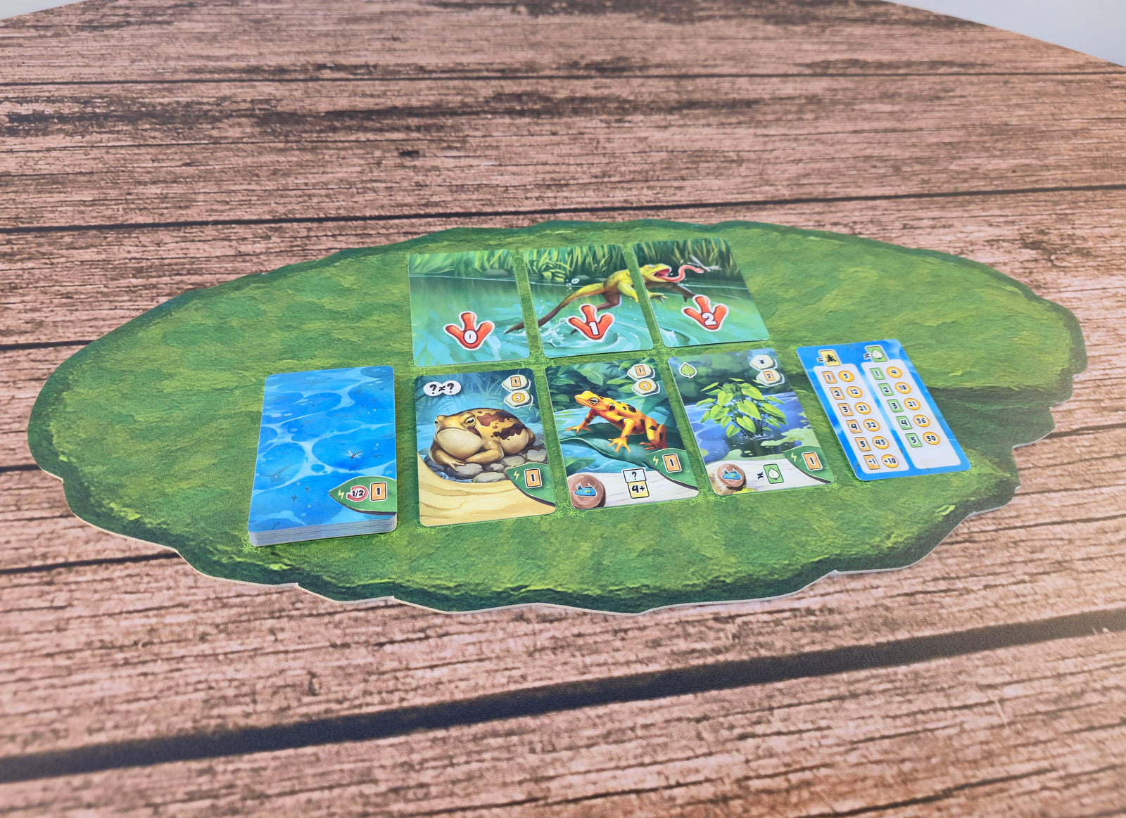 Spielmatten für Froschreich