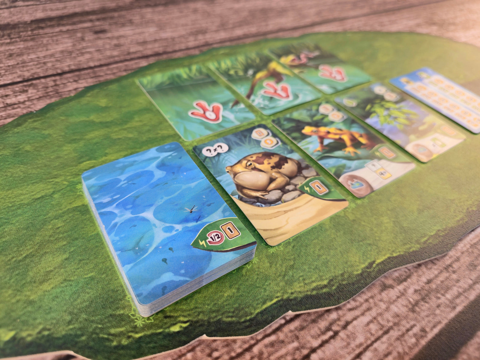 Spielmatten für Froschreich
