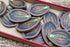 3D Token + Tokenkapseln passend zu Life of the Amazonia