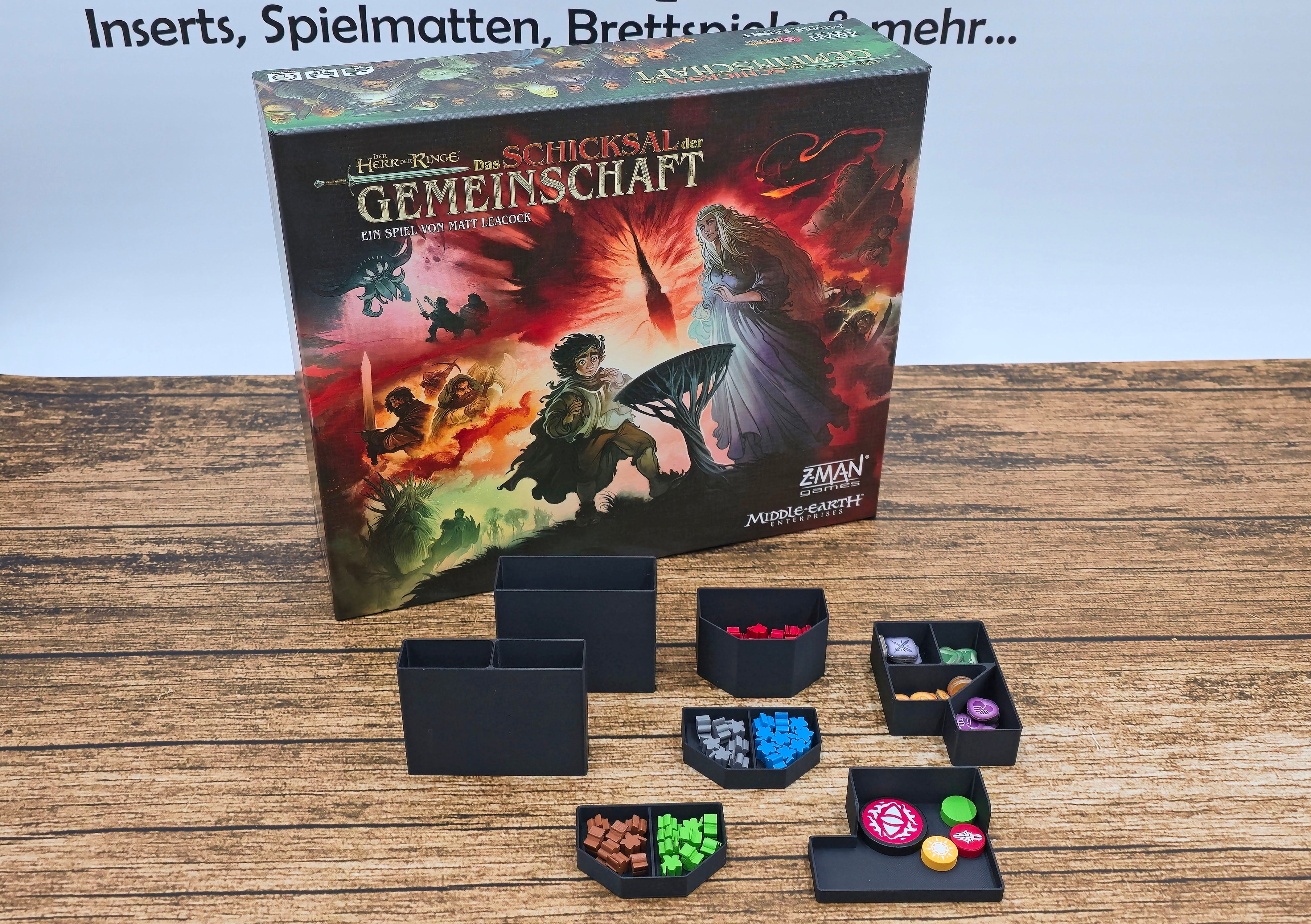 Der Herr der Ringe: Das Schicksal der Gemeinschaft Insert 3D Druck