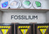 Insert für Fossilium