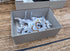 Insert für Fossilium