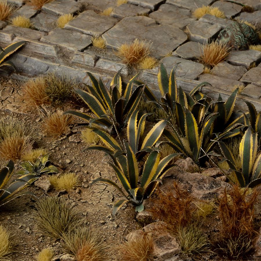 Laser Plant Agave