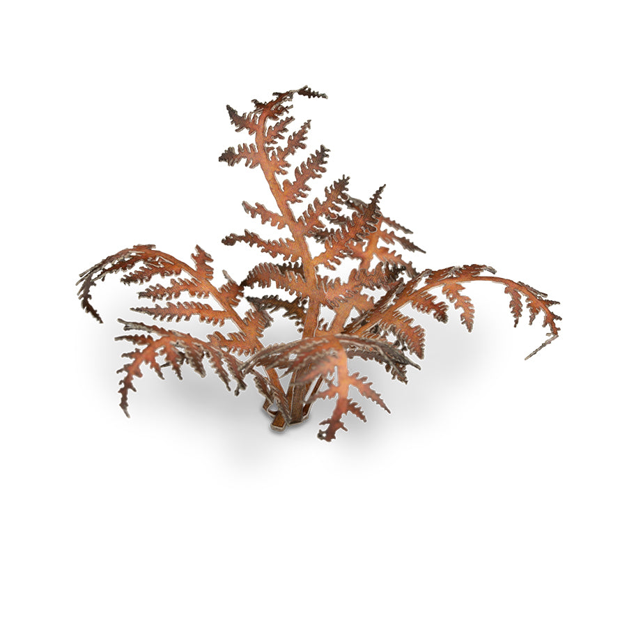 Laser Plant Dry Bracken